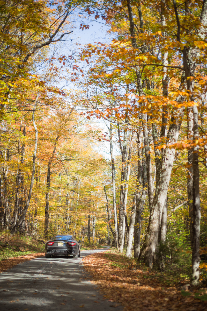 Illustration for article titled Here Are Some More Photos Of The 2018 Maserati GranTurismo MC In Autumnal Glory
